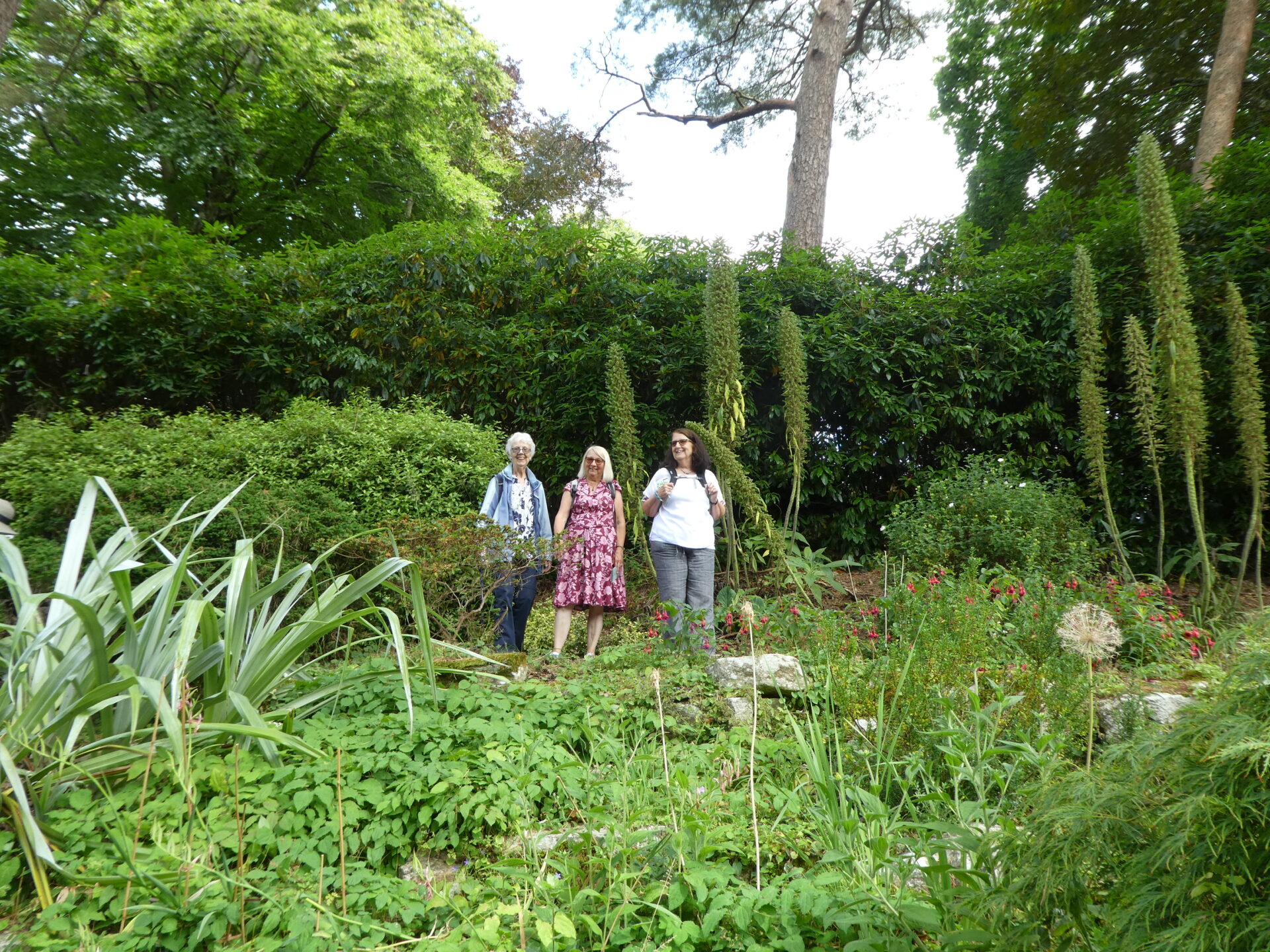Compton Acres and Poole Harbour - July 2025