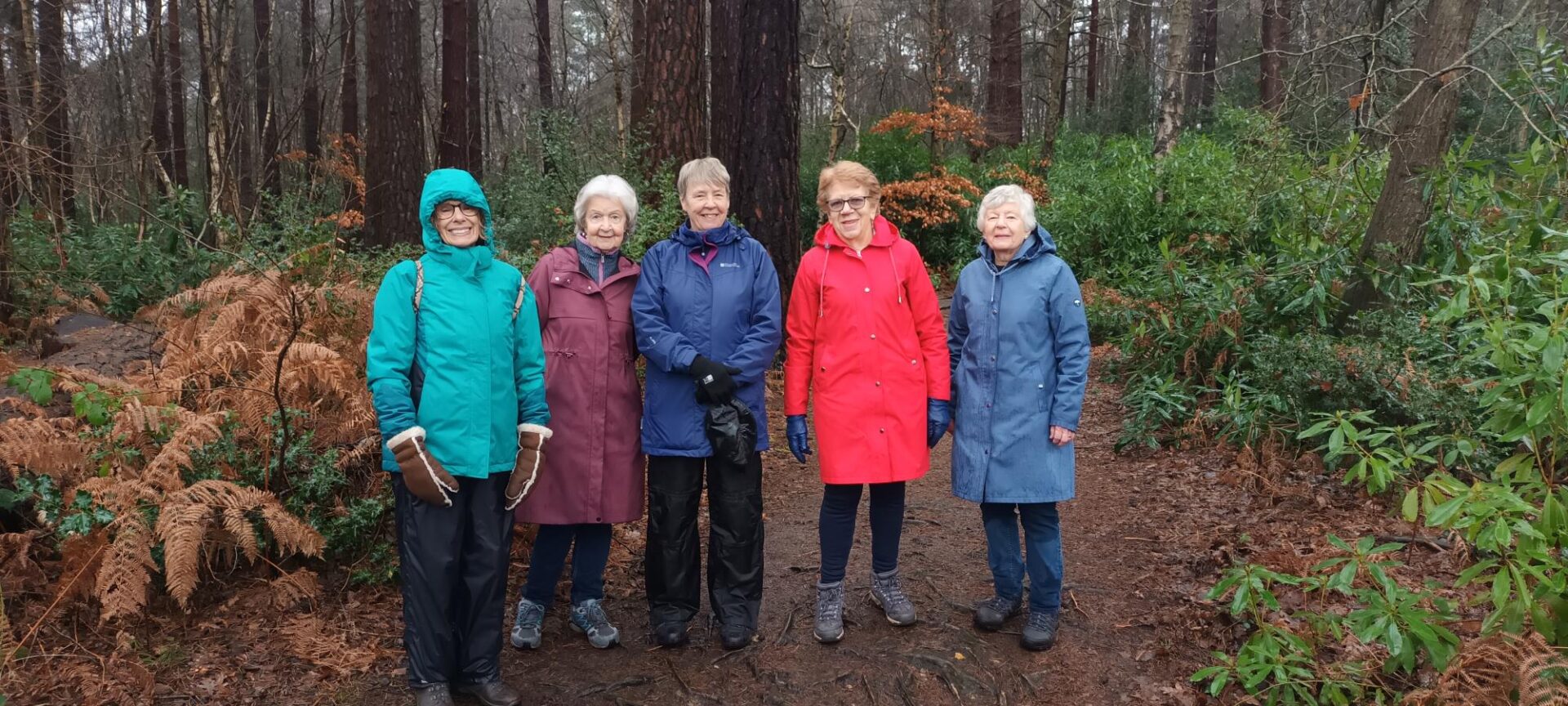 Sandhurst and Wildmoor Nature Reserve Walk - January 2026