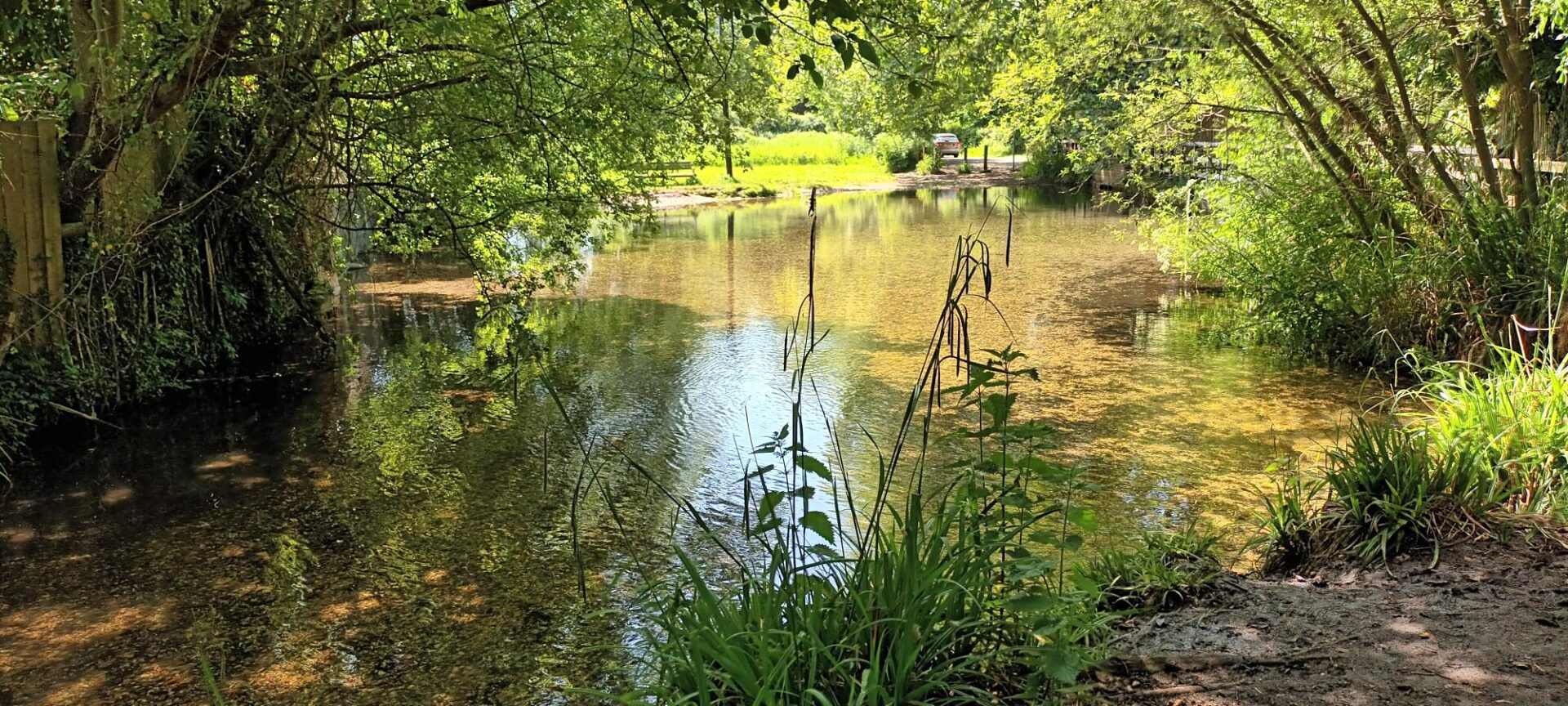 Greywell Walk - May 2026